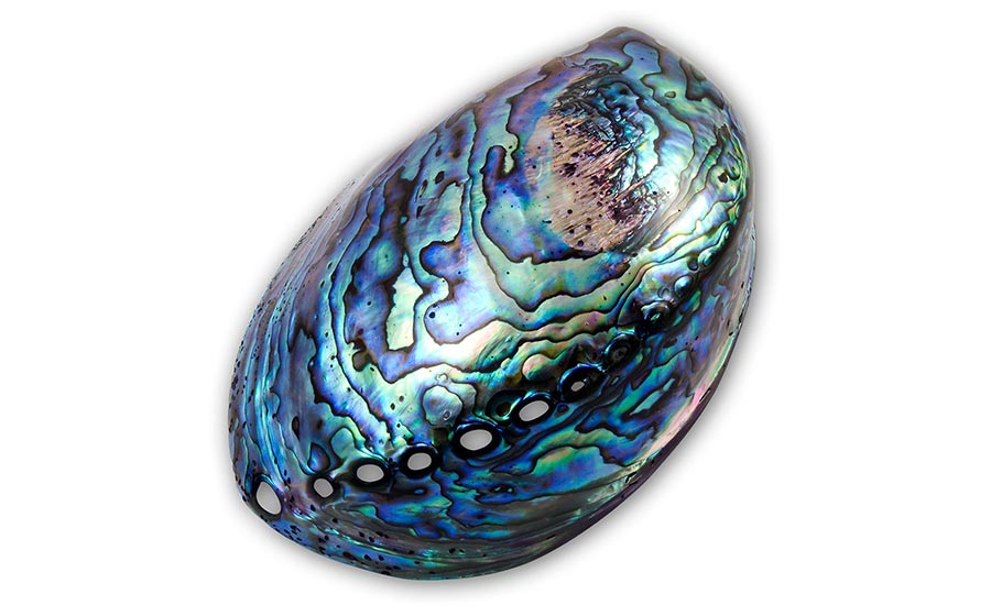 Abalone La Gaya - Joias e Semijoias